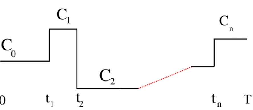 FIG. 6: A trajectory of a Markov process during the time interval [0, T ].