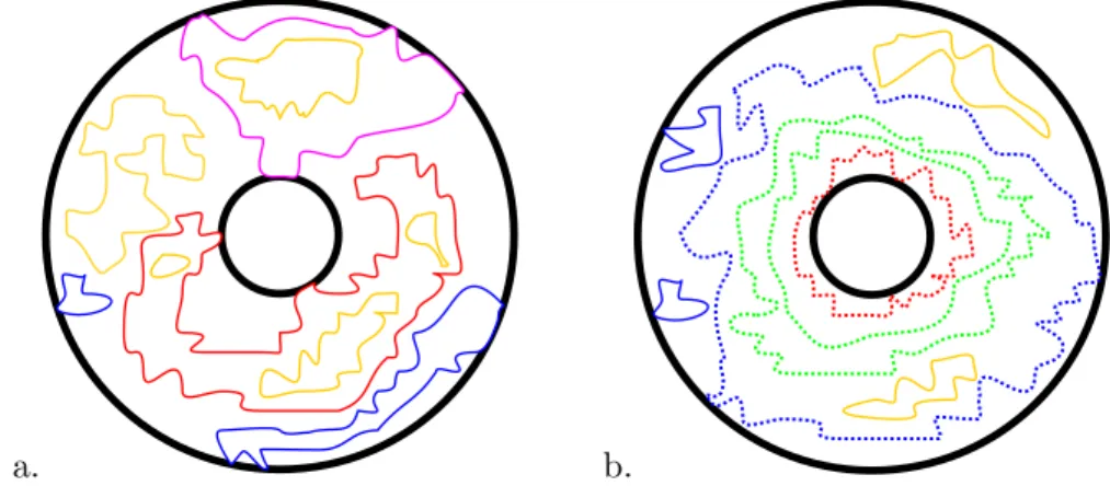 Figure 1: The conformal loop model on the annulus. Different Boltzmann weights are given to the loops, depending on their topology (contractible or not) and if they touch a boundary