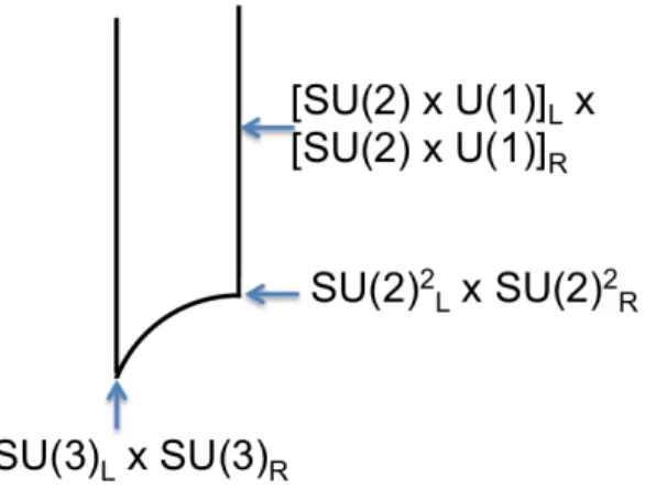 Figure 2: Enhancement groups on the domain τ = ρ. The groups SU (3) L × SU(3) R and SU (2) 2 L × SU (2) 2 R occur at the isolated points on the left and right vertices, respectively, while [SU(2) × U (1)] L × [SU (2) × U (1)] R occurs along the boundaries.