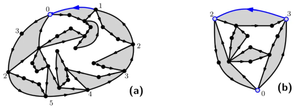 Fig. 1: (a) A rooted 4-constellation with root degree 8 and weight x 2 1 x 2 2 x 4 , contributing to F 2 (note that vertex types around the root face form a 4-excursion)