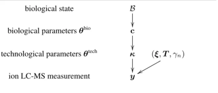 Fig. 1 – Hierarchical direct model used in our framework for the classification.