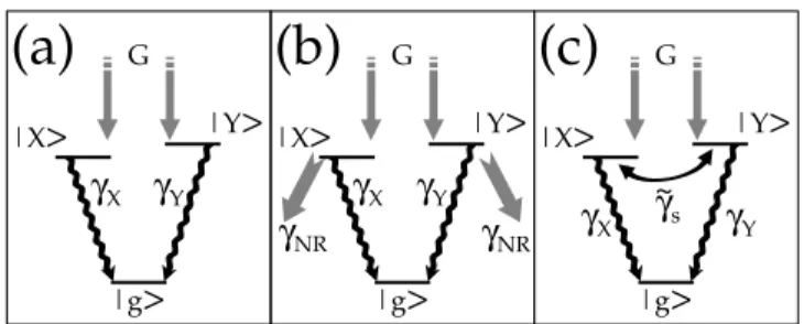 FIG. 1: Energy level diagram of a QD showing the two bright exciton states |Xi and |Y i and the system ground state |gi.