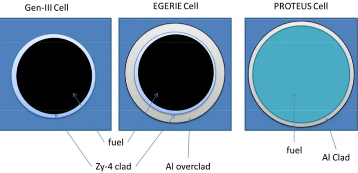 Figure 1. Radial cut-off of the cells 