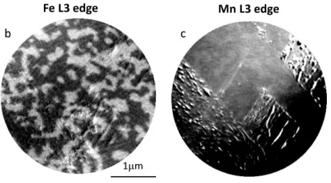 Figure S3   a-b. XMCD-PEEM image measured at zero field and room temperature at the Fe L3 edge (b) and  Mn L3 edge (c)