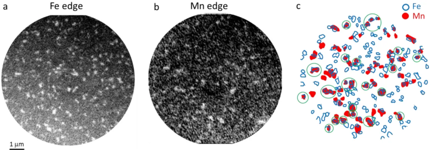 Figure  3  Images  corresponding  to  the  NiFe  and  IrMn  magnetic  contrasts  for  a  //Ta(3)/Cu(3)/IrMn(5)/Pt(0.5)/Co(0.3)/NiFe(0.87)/Al(2)  (nm)  stack