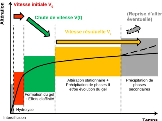 Figure 3 | Description de l’évolution de la vitesse d’altération d’un verre silicaté d’intérêt nucléaire au cours du  temps, et des phénomènes prépondérants expliquant le changement de régime de vitesse