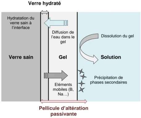Figure 4 | Représentation schématique des mécanismes de formation de la pellicule d’altération (verre hydraté +  gel + phases secondaires) à la surface d’un verre en contact avec une solution