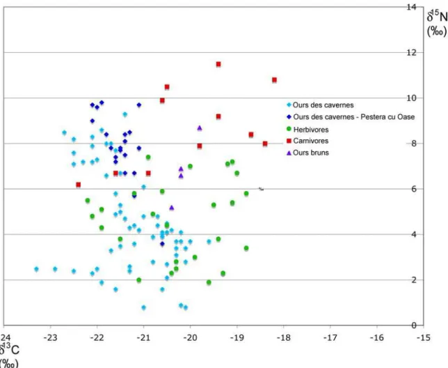 Figure 3 : Valeurs des δ 15 N et δ 13 C des différents fossiles du Pléistocène en fonction de leur régime alimentaire  (Bocherens et al., 1994a; Fernandez-Mosquera et al., 2001; Bocherens et al., 2005; Richards et al., 2008)