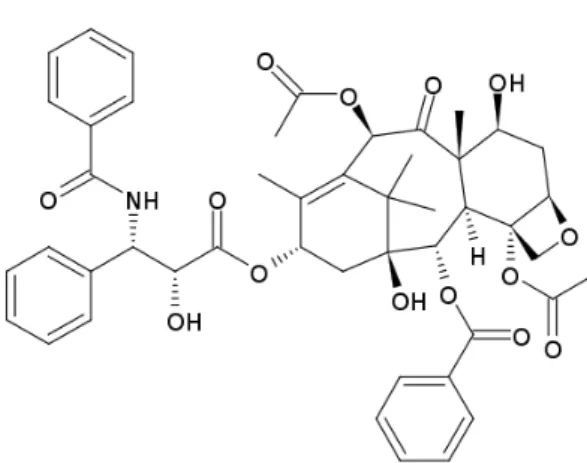 Figure  2.  La  molécule  de  Taxol,  utilisée  en  chimiothérapie.  Cette  molécule  a  été  découverte dans l’écorce d’une espèce d’if, Taxus brevifolia