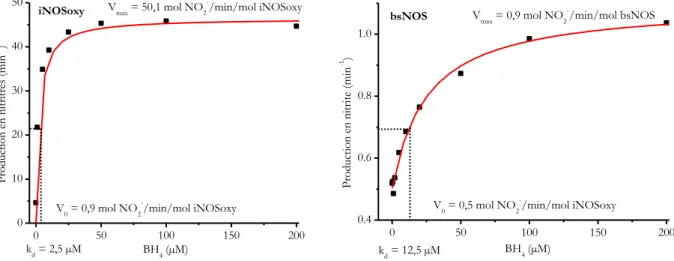 Figure 30 : Courbes issues du test de Griess d'iNOSoxy et bsNOS. 