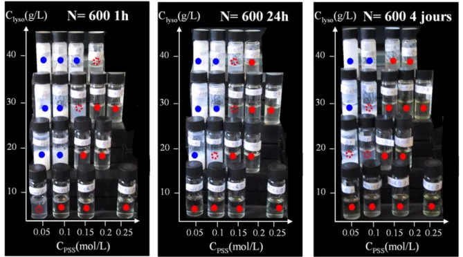 Fig. 4.1 – Evolution temporelle des ´ echantillons ` a pH 3 pour des chaˆınes de 600 monom` eres.