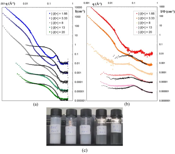 Fig. 4.13 – Courbes DNPA en fonction du rapport de charge introduit. (a) : courbes de dif- dif-fusion de la prot´ eine pour les cinq rapports de charge d´ ecal´ ees d’un facteur 10