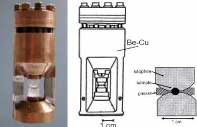 Figure 2 shows the pressure cells used on G61, the so-called “Kurchatov-LLB” cells. 