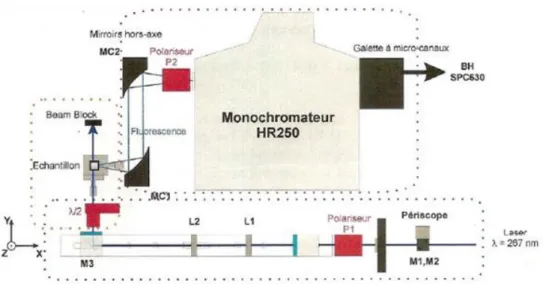 Figure II-6. Schéma du montage pour le comptage de photons uniques corrélés en temps utilisé