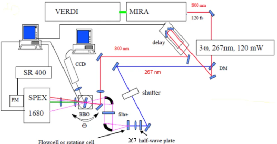 Figure II-8. Schéma représentatif du montage d’« up-conversion ». 