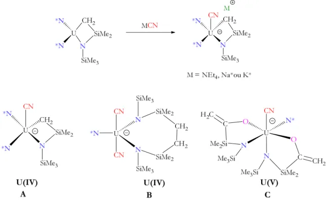 Figure 14 : Synthèse et représentation des premiers complexes amidures cyanures de l’uranium(IV) et (V)