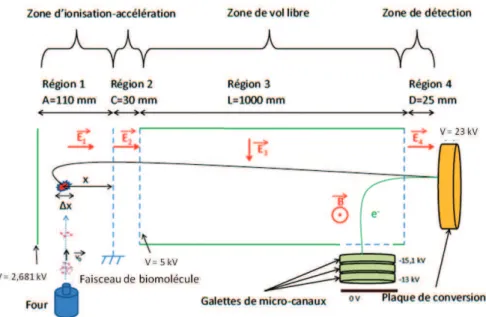Figure 7.8: Schéma du spectromètre de masse par temps de vol utilisé durant cette thèse