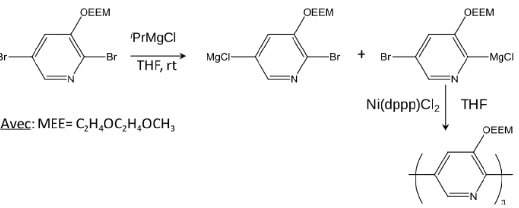 Figure 11 : Synthèse d’un polymère à base de pyridine par couplage de Kumada 