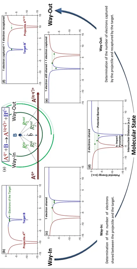 Figure 2.2.2 : Schematic representation of the ion (