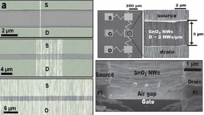 Figure 2.9: Devices based on nanowire arrays. (Left) Ge/Si Nanowires are deposited onto a substrate, contacted to Ni/Pd source (S) and drain (D) contacts and put into a Field Eﬀect Transistor (FET) conﬁguration, with a metallic back gate (below the substra