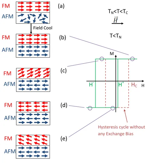 Figure 1.22: Naive principle of the exchange bias effect. Adapted from [Nog1999]