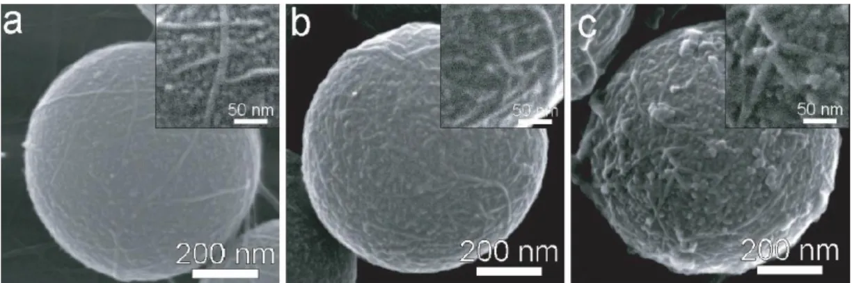 Figure 21 : Assemblage d’imogolites autour d’une bille de polystyrène. Effet du traitement thermique sur la couche  d’imogolites (Kuroda, et al., 2008) 
