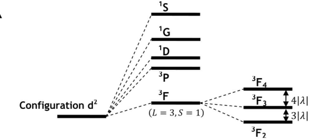 Figure  2-3  –  Représentation  des  états  multiplets  issus  du  terme  fondamental  3 F  de  la  configuration d 2 .