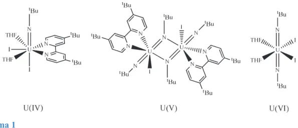 Figure 1 Vue du fragment U 7 N 12 Cl 6 O 6  du composé [Mg(THF) 5 ][U 7 (NPh) 12 Cl 6 (THF) 6 ]