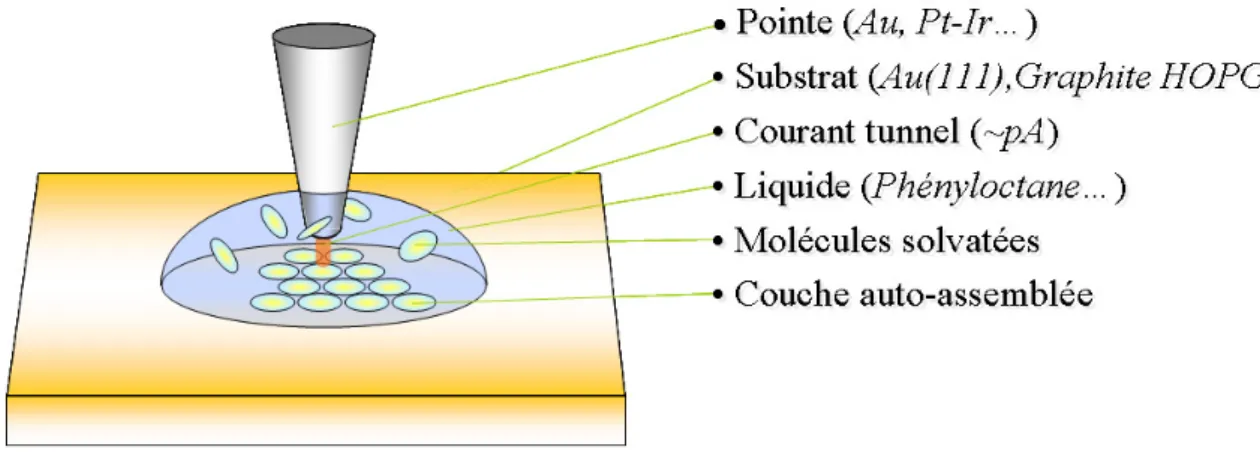 Figure 8 : Schéma représentant la jonction tunnel du microscope à l’interface liquide-solide