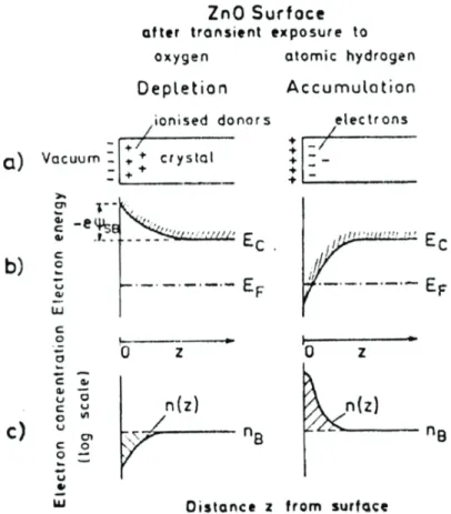Figure 2.11 – Surface et sous surface de ZnO avant et après exposition à de oxygène de l’hydrogène atomique