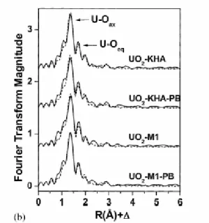 Figure 3. Spectres EXAFS après transformation de fourrier de l’uranium complexé à un KHA  (acide humique original), KHA-PB (acide humique avec les fonctions phénoliques bloquées),  M1 (acide humique synthétique), M1-PB (acide humique synthétique avec les f