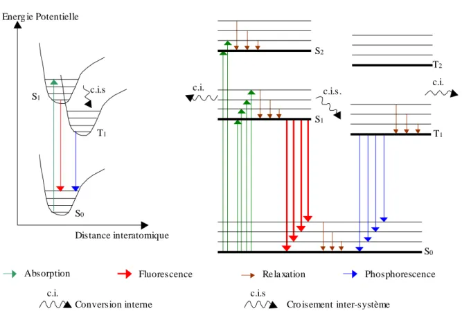 Figure 18 : Niveaux d’énergies de la molécule et transitions électroniques observées lors des phénomènes de  fluorescence et de phosphorescence 