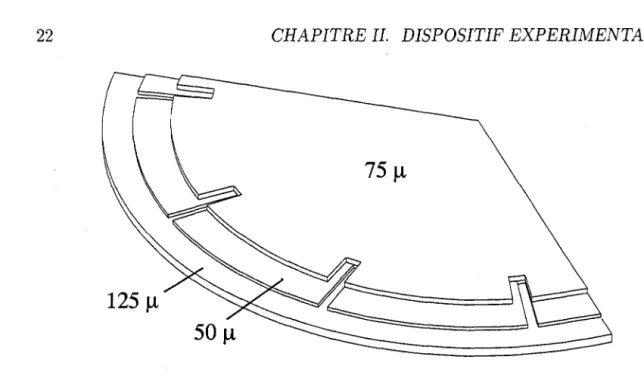 Figure  II.3:  Cible  de  production:  les  différents  disques  de  Tantale  superposés 