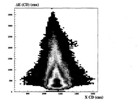 Figure  III.5:  Perte  d'énergie  dans  la  chambre  à  dérive  en  fonction  de  la  position  horizontale  dans  celle-ci