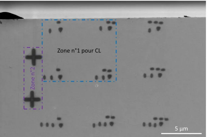 Figure 64 : Exemple de marquages e-Pt utilisée pour l’étude du QW8, image SEM en mode immersion