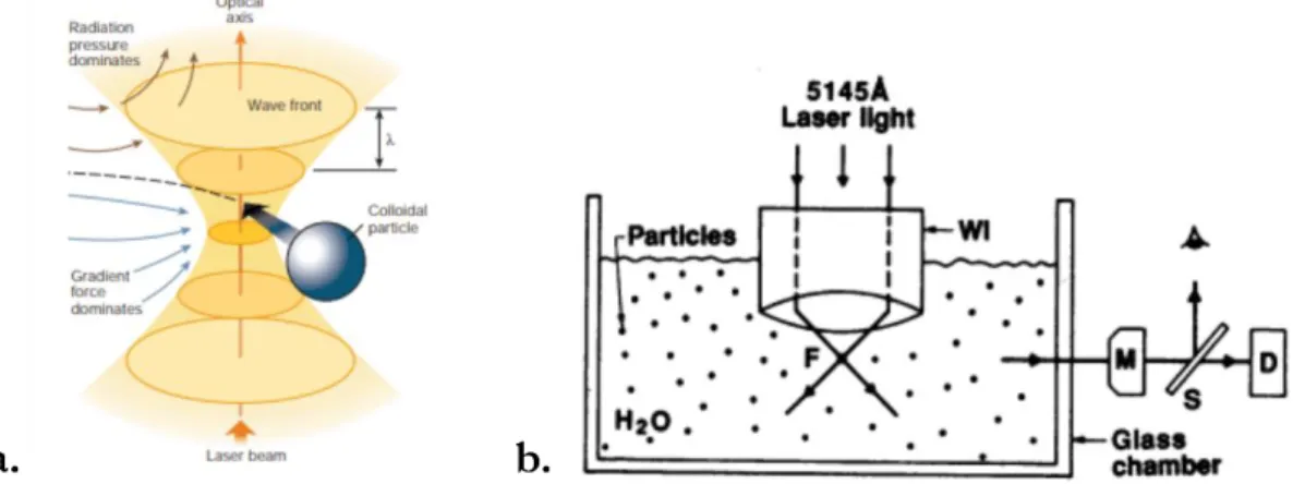 Fig.  I.8  –  a.  Exemple  de  guide  d'onde  silicium  (fabriqué  dans  nos  laboratoires),  image  MEB