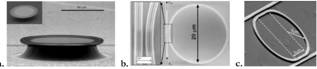 Fig. I.9 – Images MEB de différentes structures d’anneaux résonants. a. Microdisque de silice dont le diamètre est  compris entre 80 et 120 µm (extrait de  [ref  18])