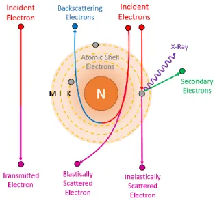 Figure 13: Schematic of interactions that may occur with the incident electrons. 