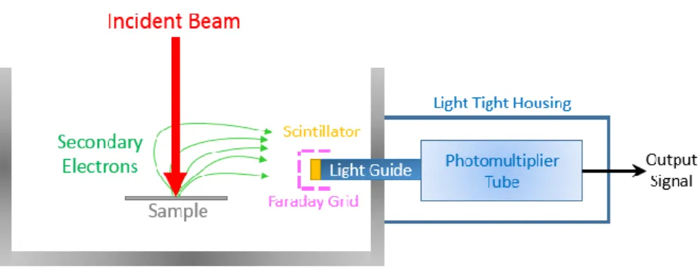 Figure 23: Schematic of an Everhart-Thornley detector for secondary electrons. 