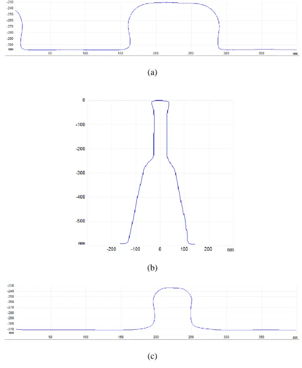 Figure 42. (a) Profile acquired by the AFM-3D tool. (b) Profile of the tip used on this experiment
