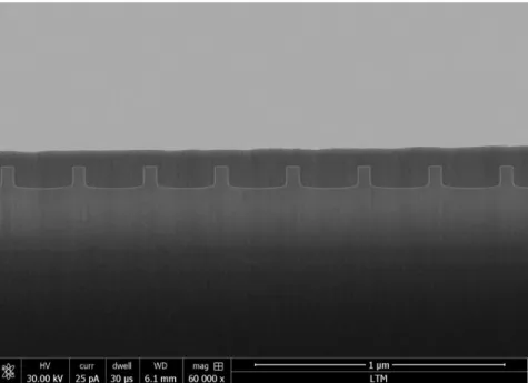 Figure 59: Example of a line space grating imaged using a FIB-STEM. 
