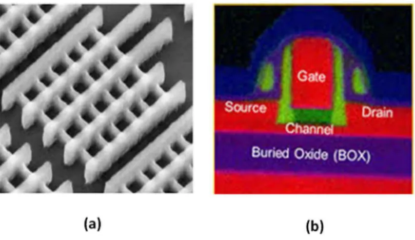 Figure I-4 SEM image of a FinFET and (a) TEM-EDX image of a FD-SOI gate integration. In (b) different materials  are identified by different colors