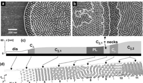 Figure  1-13:  (a,b)  Scanning  force  microscopy  (SFM)  phase  images  of  thin  films  of  PS-b-PB-b-PS  on  Si  substrates  after  annealing  in  chloroform  vapor