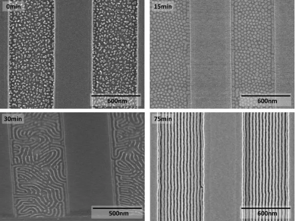 Figure 2-7: SEM micrographs of SD45 in SiArc/SOC trenches after different times of annealing in toluene vapor 
