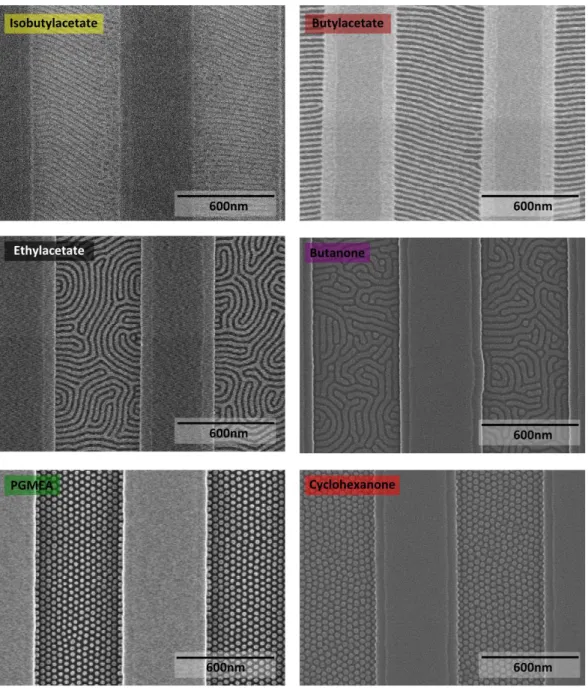 Figure 2-9: Top-view SEM images of SD45 after 75min SVA in different solvent vapors 