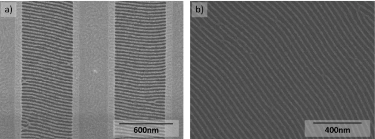 Figure  2-10:  Top  view  SEM  images  of  SD45  after  20min  annealing  in  butylacetate  on  (a)  SiArc/SOC  trenches  and  (b)  on  plane SOC surface 