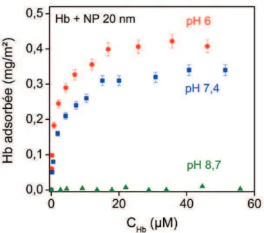 Figure  4-5.  Isothermes  d’adsorption  de  la  myoglobine  sur  la  silice  nanoporeuse  CPG 8 nm en tampon 100 mM BisTris-HCl à pH 6 ( ) et Phosphate à pH 7,4 ( ) 