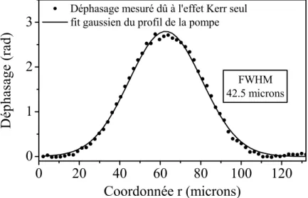 Fig. 2.9: Profil spatial du déphasage dans MgO, lorsque seul l’effet Kerr contribue à la variation d’indice (début d’impulsion pompe ou faible intensité de pompe).