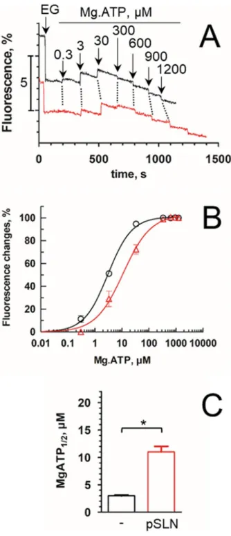 Figure 5.  Effect of SLN on ATP binding. Binding of Mg.ATP as deduced from tryptophan fluorescence changes  for recombinant SERCA1a alone (black) or supplemented with pSLN (red)