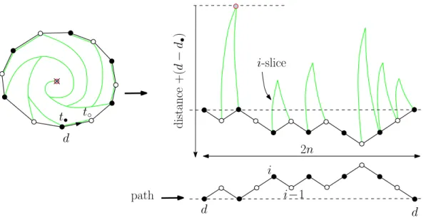 Figure 2. Schematic picture of the slice decomposition of a map contribut- contribut-ing to F n • (d)